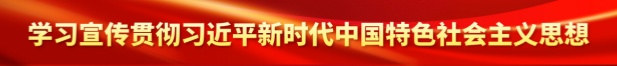 學(xué)習(xí)貫徹習(xí)近平新時代中國特色社會主義思想主題教育